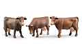 BRUDER - 02308 - Cow - <i>Package