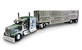 DCP - 33884 - Mihm Brothers Inc