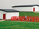 ERTL - 12291 - Farm Country Hog 