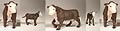 ERTL - 12814 - Cattle - Dark Brown 