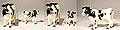 ERTL - 12815 - Cattle - Holesteins 