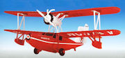 ERTL - 19538 - Texaco - Wings Of 