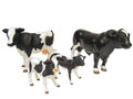 ERTL - 42080-1 - Animal Family Boxed 