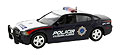 FIRST RESPONSE - CHG-113 - Policia Guadalajara