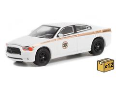 30334-CASE - Greenlight Diecast Absaroka County Sheriffs Department 2011 Dodge Charger
