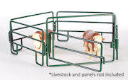 LITTLE BUSTER - 500221 - Walk-Through Gate