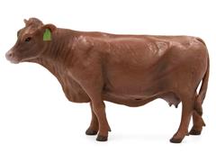 500260 - Little Buster Red Angus Cow SUPER DURABLE Made of