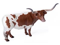 500271 - Little Buster Texas Longhorn Steer