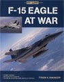 MBI - 145650 - F-15 Eagle at War