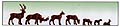 Click to Enlarge