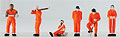 Click to Enlarge