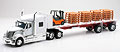 NEW-RAY - 10193 - International Lonestar