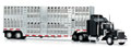 NEW-RAY - 15243 - Kenworth W900 With