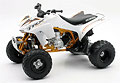 NEW-RAY - 57473 - 2012 Honda TRX 450R