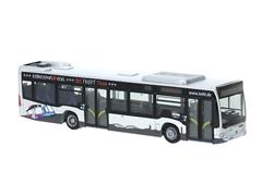 73502 - Rietze Mercedes Benz Citaro Bus SWEG Kehl 2015
