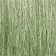 WOODLAND - FG173 - Field Grass - Light