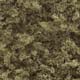 WOODLAND - T60 - Coarse Turf - Earth