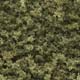 WOODLAND - T62 - Coarse Turf - Burnt