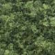 WOODLAND - T64 - Coarse Turf - Medium