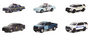 GREENLIGHT 43000-CASE