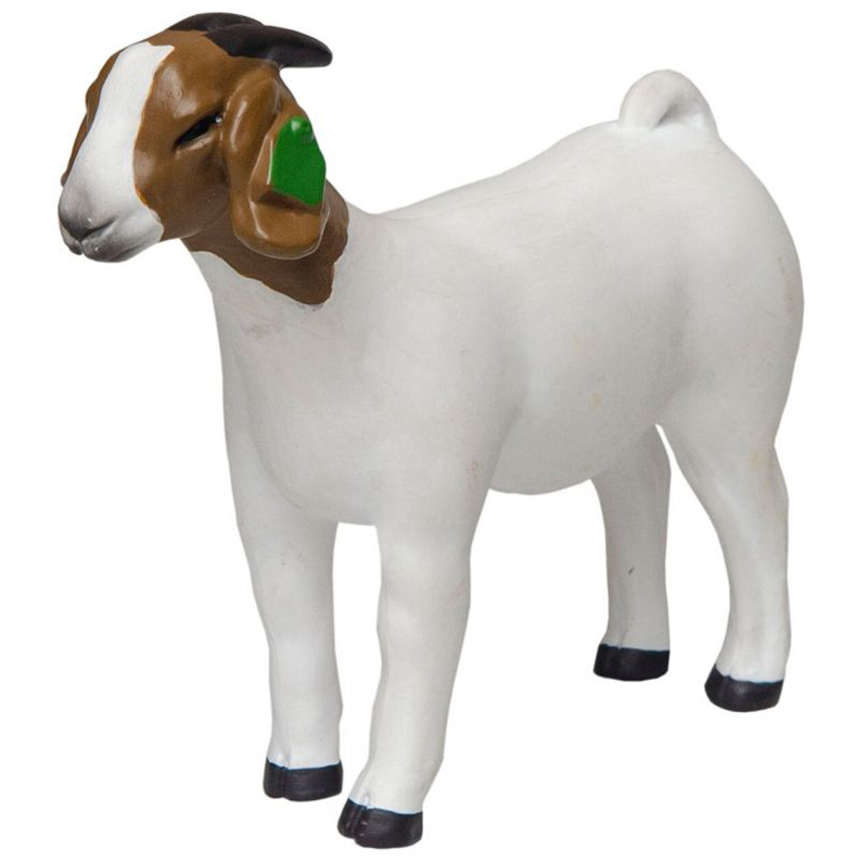 200895 - Little Buster Grand Doe Goat White