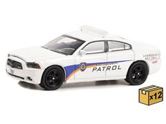 30286-CASE - Greenlight Diecast KSC 2014 Dodge Charger Kennedy Space Center