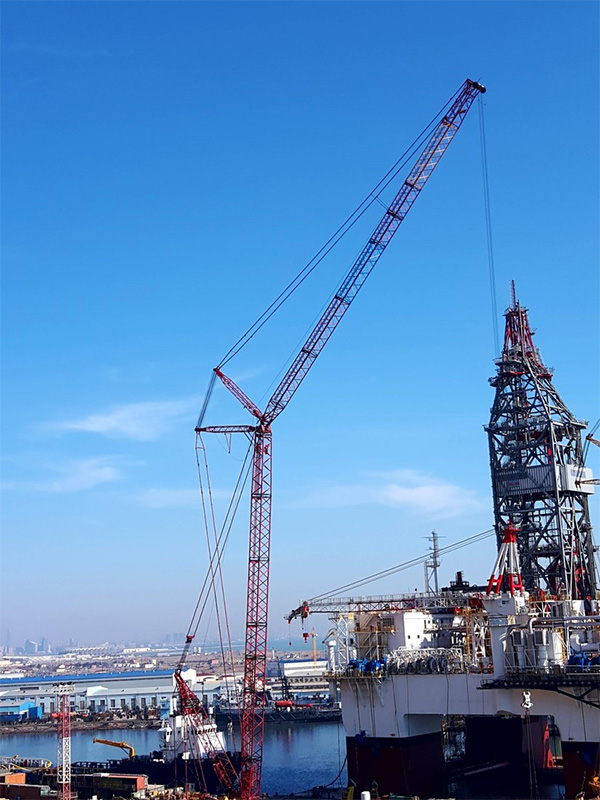 v1_410295.jpg