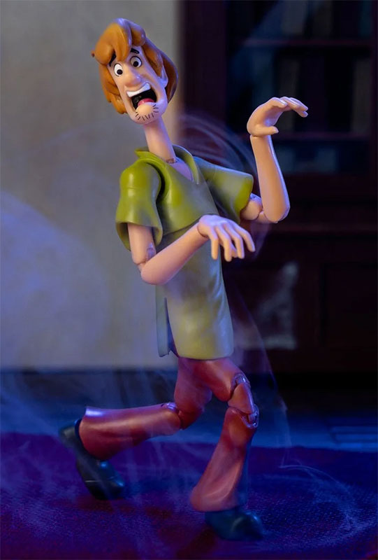 Norville Shaggy Rogers - Scooby Wave 1 Action Figure - 35625
