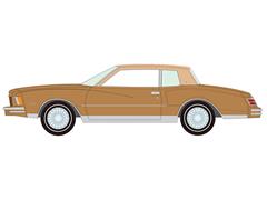 1979 Chevrolet Monte Carlo in Camel Poly and Medium Beige