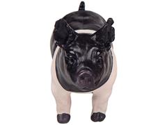 Little Buster Hampshire Show Pig SUPER DURABLE Made of                                                                  