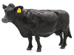 500256 - Little Buster Angus Cow SUPER DURABLE Made of solid