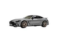 NZG #1120-01 - Mercedes-AMG GT 63 PRO in Alpingrey